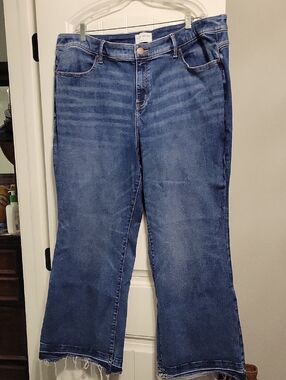 Lane Bryant Blue Cropped Wide-Leg Jeans